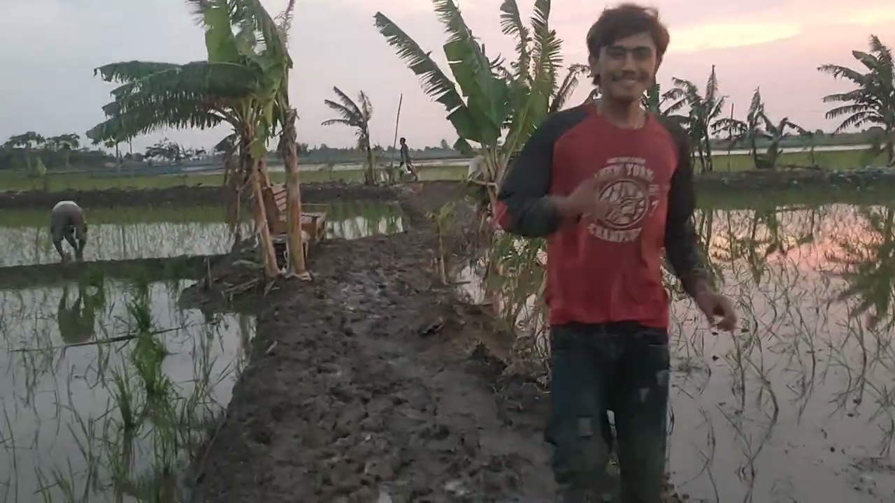 PETANI INDRAMAYU JAWA BARAT 