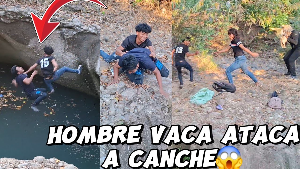 Santo Dios Andres y Ever Ca3😱El Hombre Vaca At4ca a Canche y Ever😭
