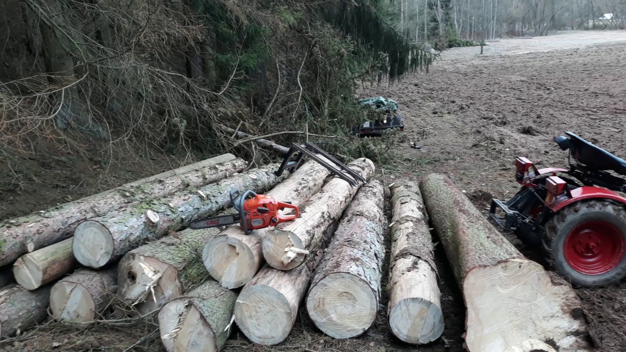 Kácení kůrovce s tz4k14