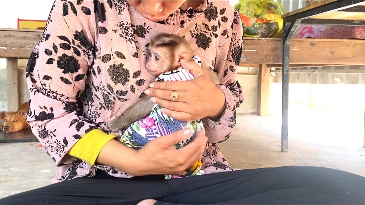 Oh  god!! Cute little LIORA quickly hugged her mom when she heard the dog crying