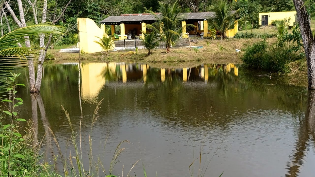 Vende-se sítio no engenho no pau sangue zona rural de Palmares PE 200 mil 81 99888595