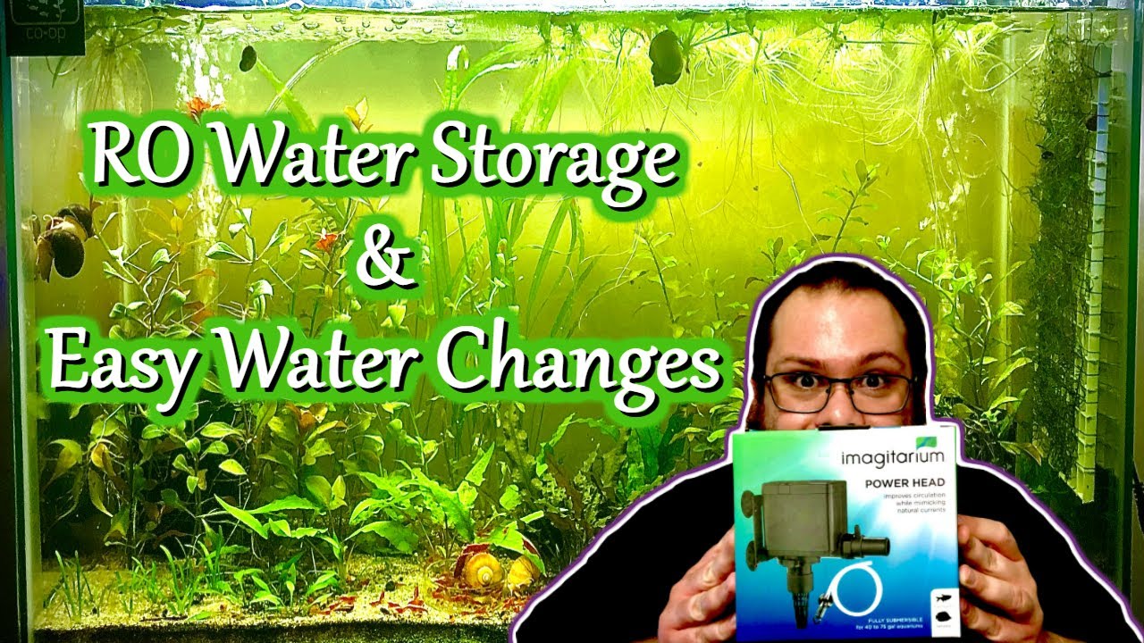 RO Water Storage For Neocaridina Shrimp