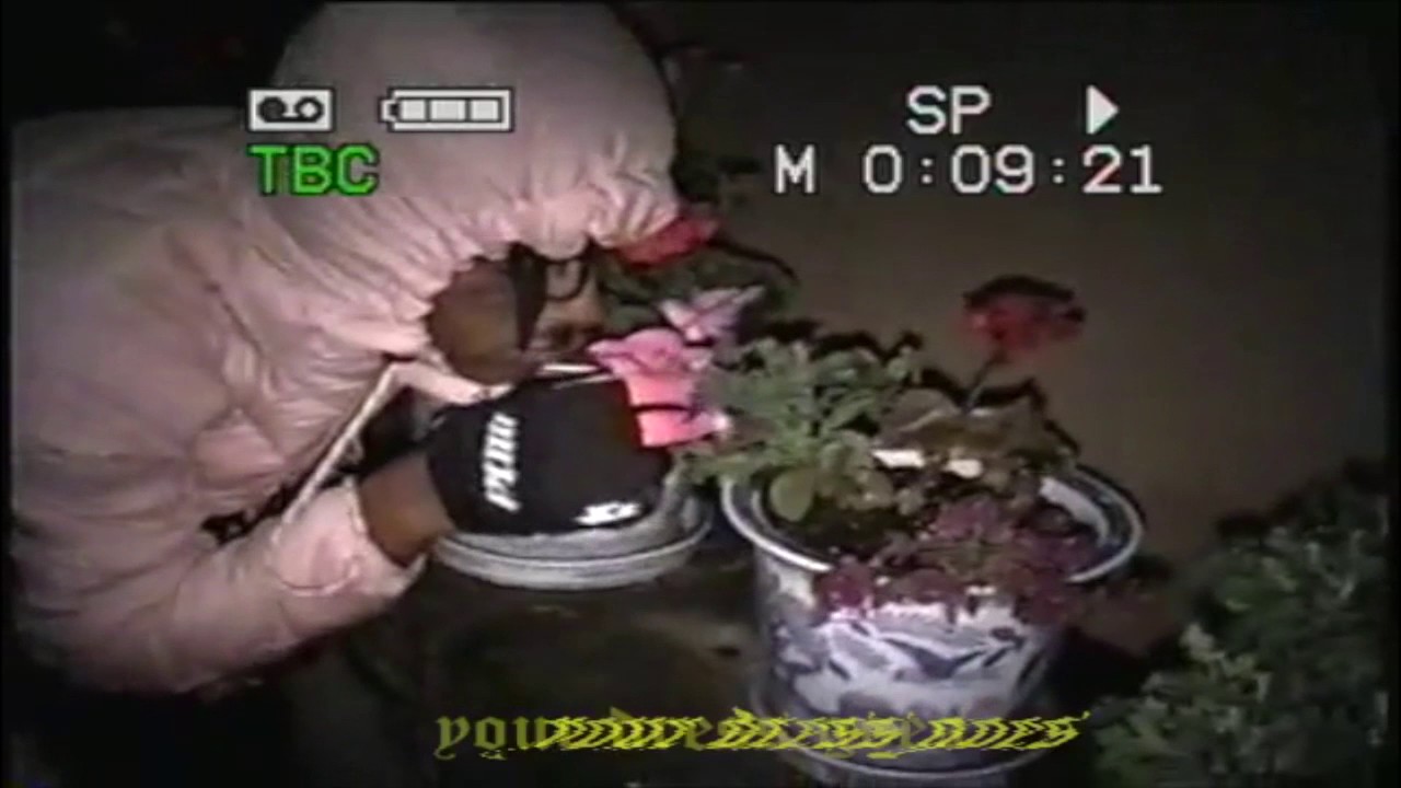 ♡♡ TRACY GREY - LIFE OF A POPSTAR ♡♡ (PROD LIL TRACY HORSEHEAD)