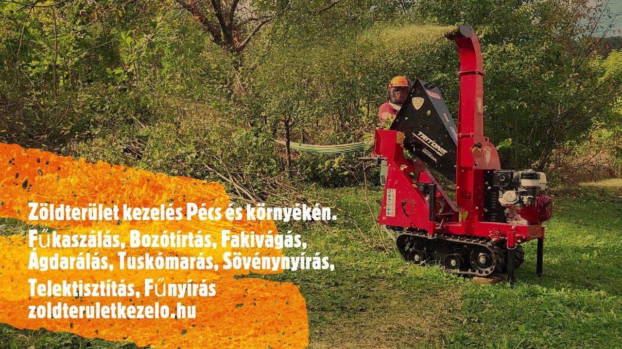 Bemutatkozik az &uacute;j &aacute;gdar&aacute;l&oacute;, a Ceccato Tritone Big Cingo