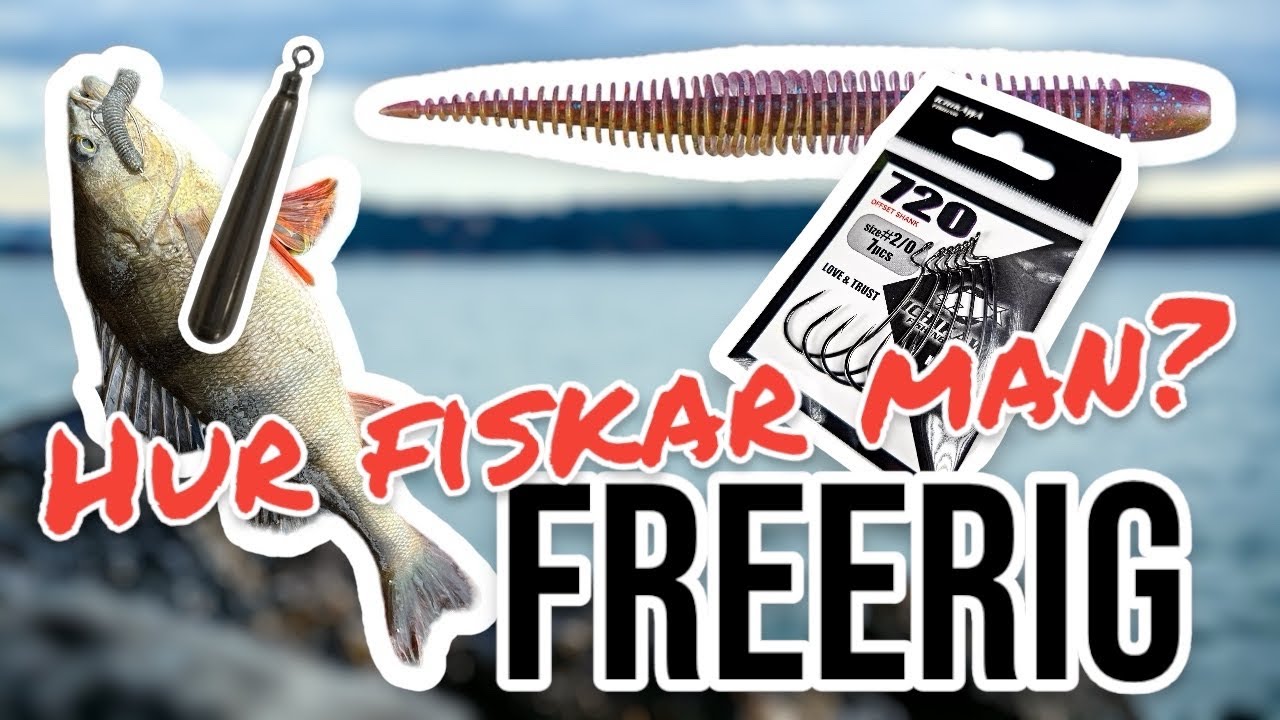 FREERIG, vänta INTE med att TESTA den MÅNGSIDIGA tekniken!