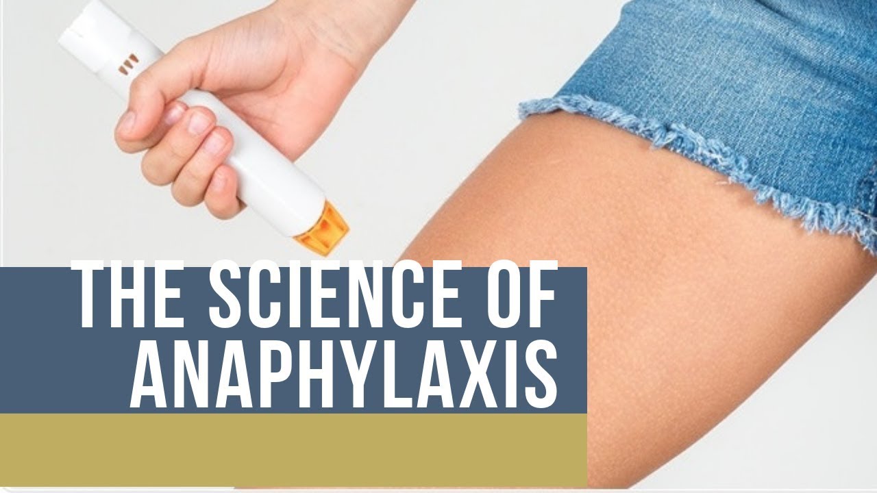 Nobel Prizes Explained: Anaphylaxis