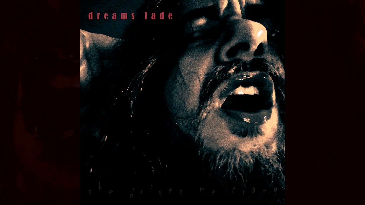 Dreams Fade - She Drives Me Crazy (Fine Young Cannibals Cover)