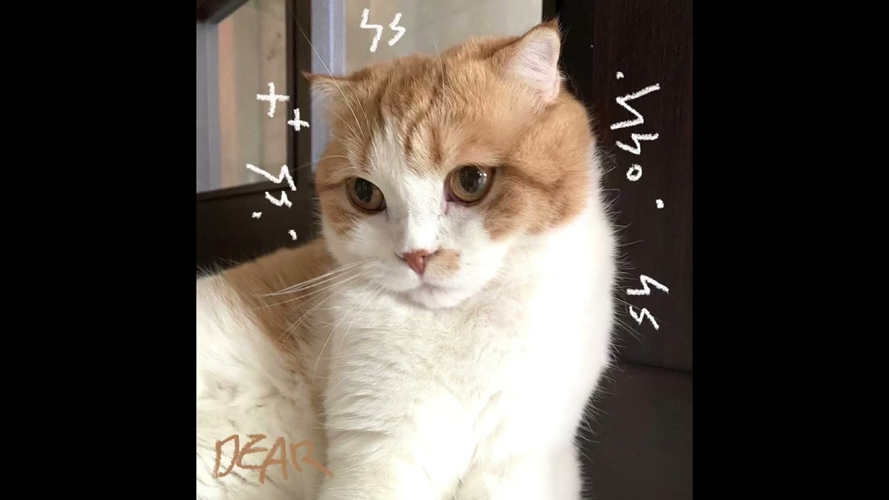 [Remix] ILLIT - Magnetic (Dear. remix)