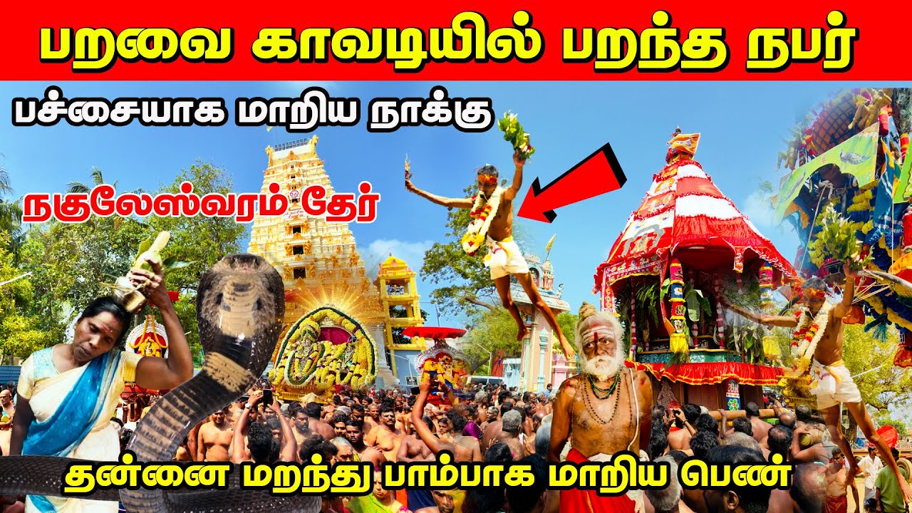 பறவை காவடியில் பறந்த நபர் / தன்னை மறந்து ஆடிய பெண் / கீரிமலையில் நடந்த அற்புதம்/மெய்சிலிர்த்த தேர் 