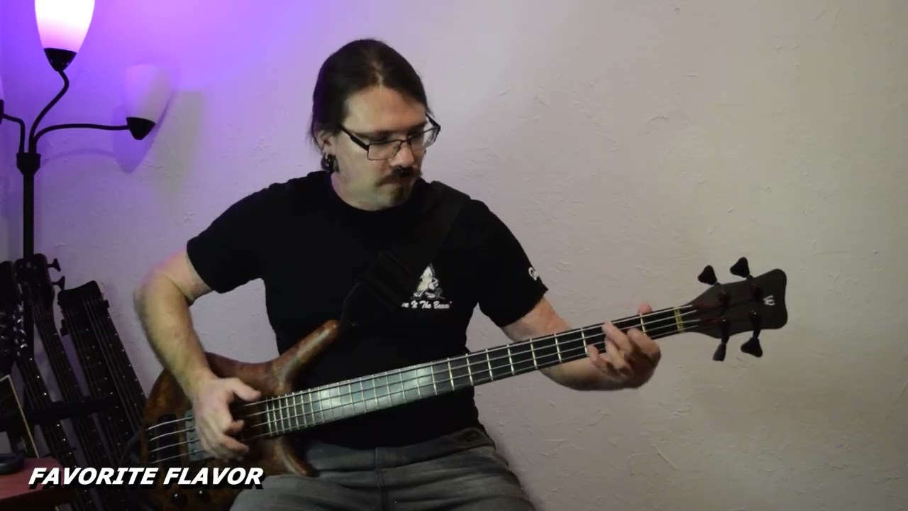 A MIXTAPE CATASTROPHE - Favorite Flavor (Bass Playthrough by Daniel Shields)