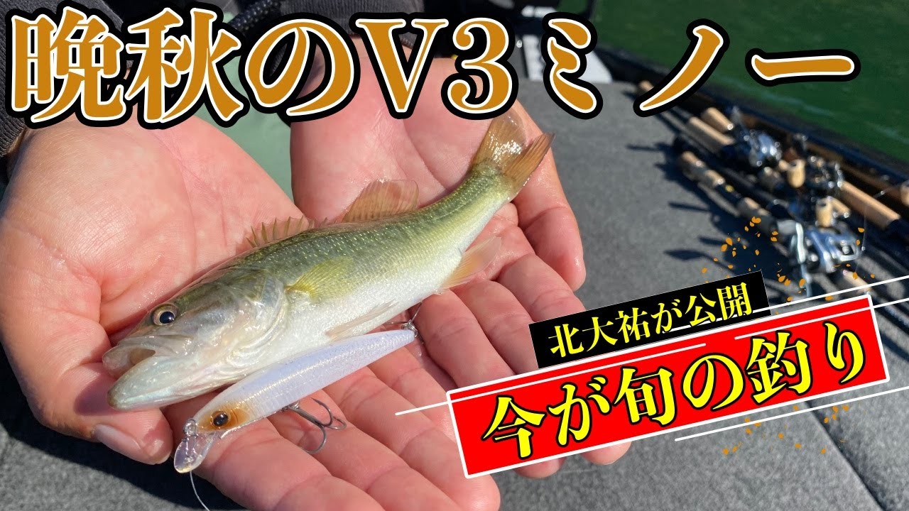 【バス釣り】晩秋はV3ミノーで浮かせて釣る方法を北大祐が紹介！