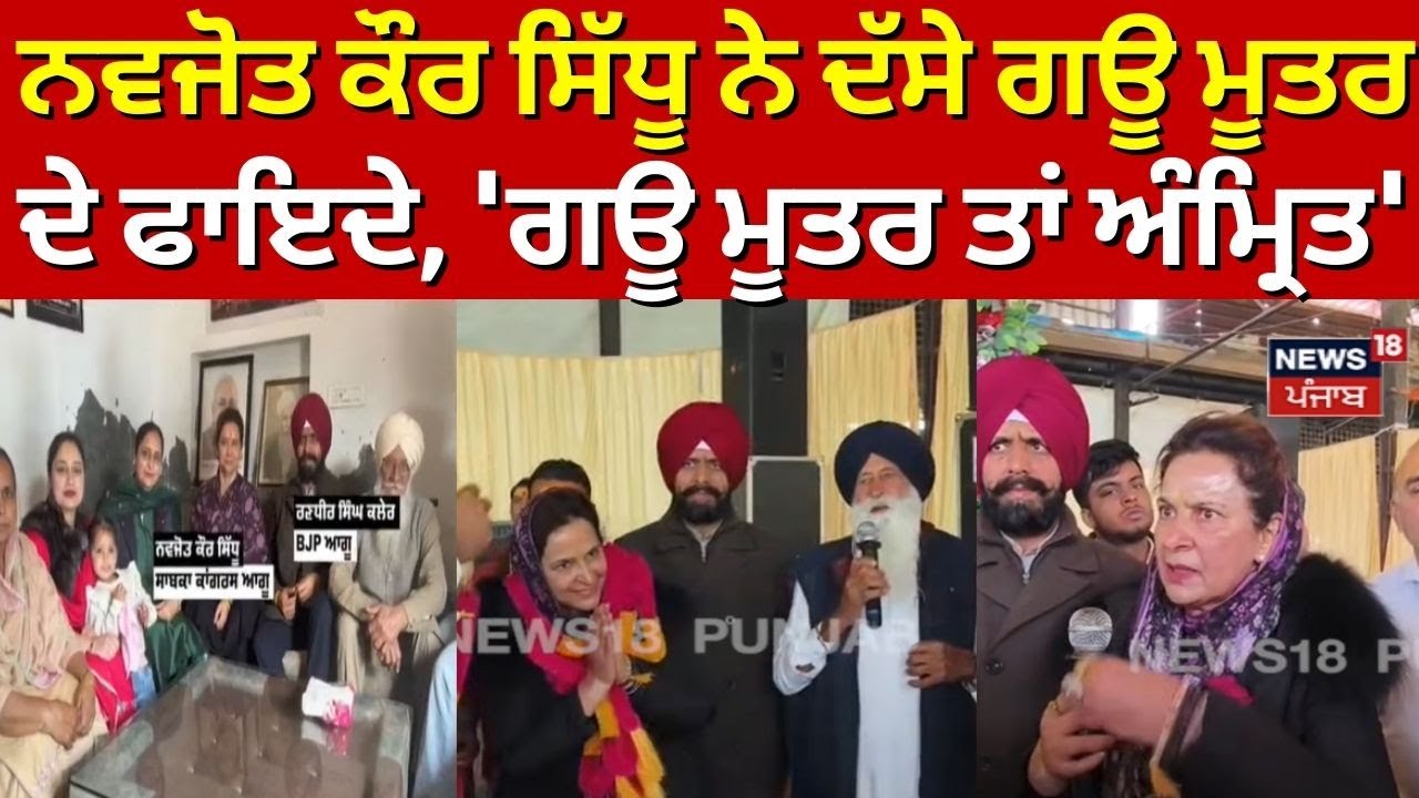 Navjot Kaur Sidhu News | ਨਵਜੋਤ ਕੌਰ ਸਿੱਧੂ ਨੇ ਦੱਸੇ ਗਊ ਮੂਤਰ ਦੇ ਫਾਇਦੇ, 'ਗਊ ਮੂਤਰ ਤਾਂ ਅੰਮ੍ਰਿਤ' | N18V