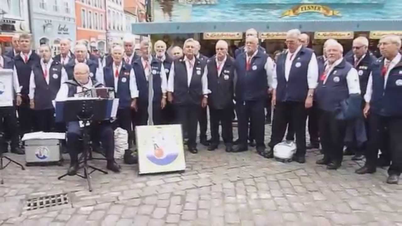 Altländer Shanty-Chor Shantyfestival  Stade 2014