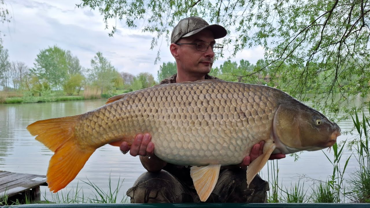 Carp and grasscarp fishing at lake Szászpa 2025.04.24.