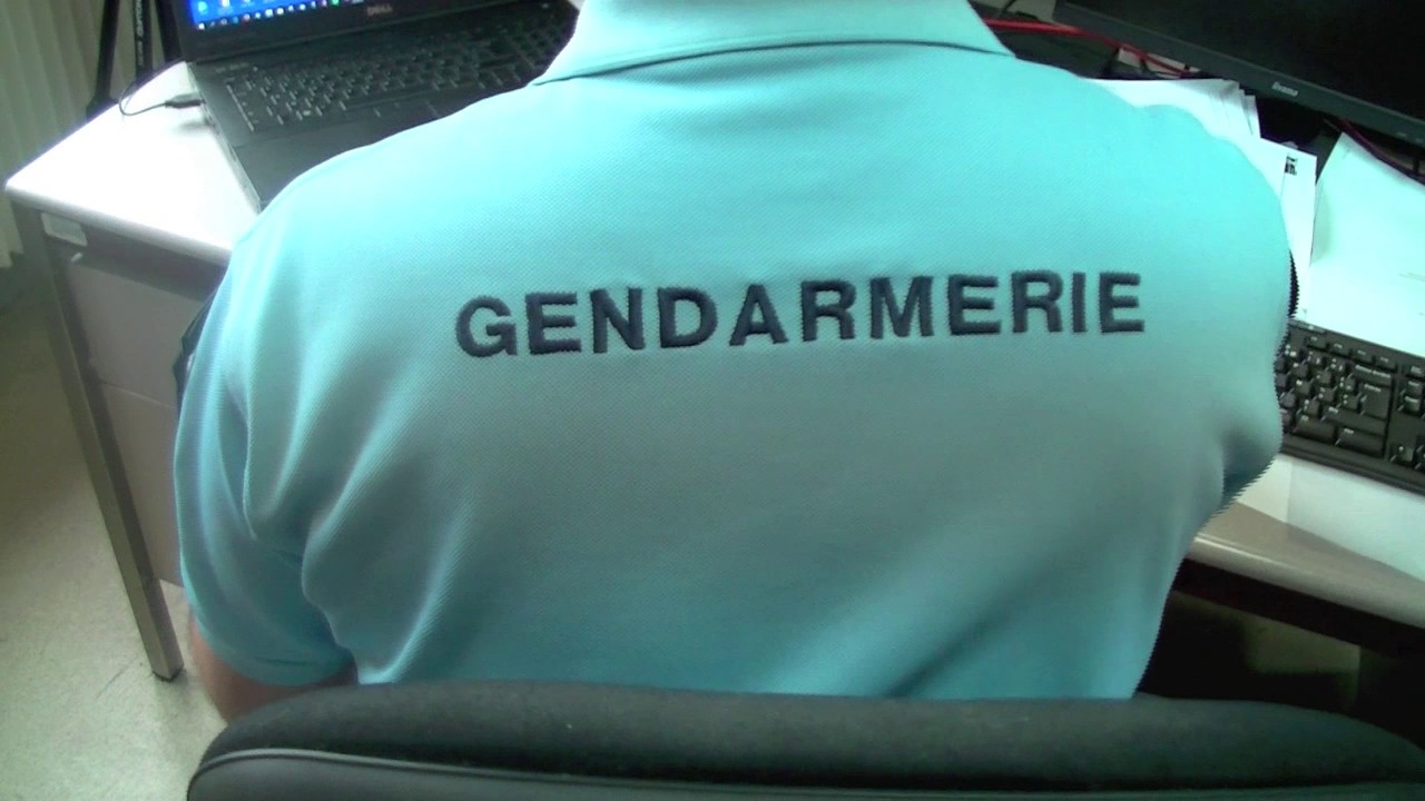 Cybergend, un gendarme très spécial.