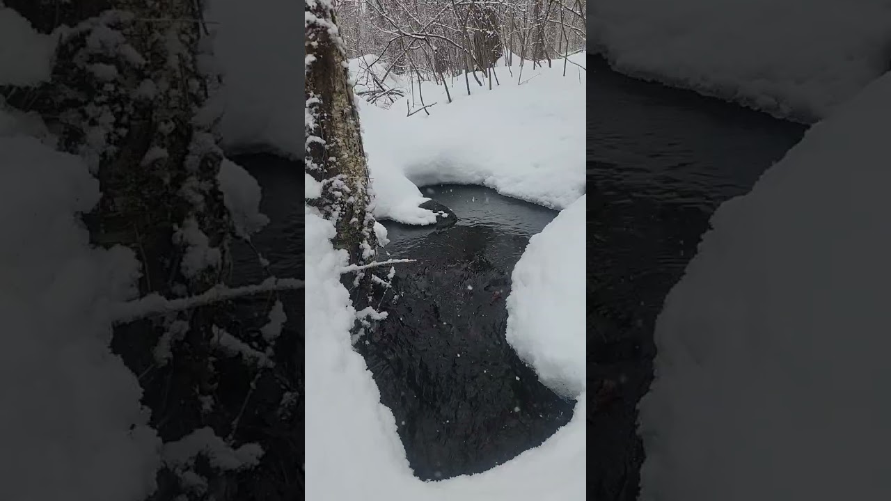 Same creek, different day
