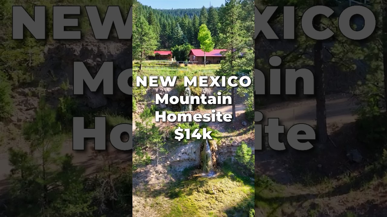 LAND for SALE in NEW MEXICO with Water & Power &bull; LANDIO