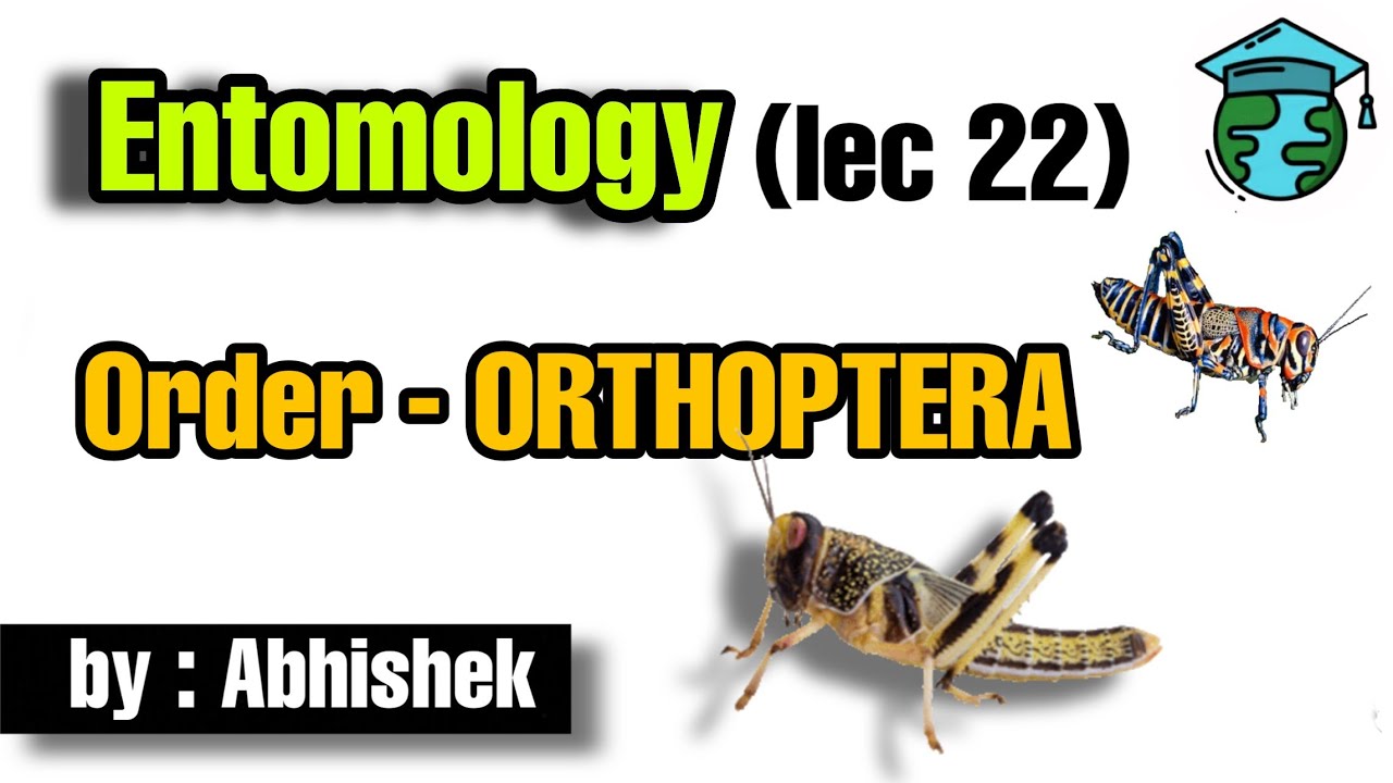 Order - ORTHOPTERA • Lec 22 •Go For Agriculture Education #icar #bhu #ibps #entomology