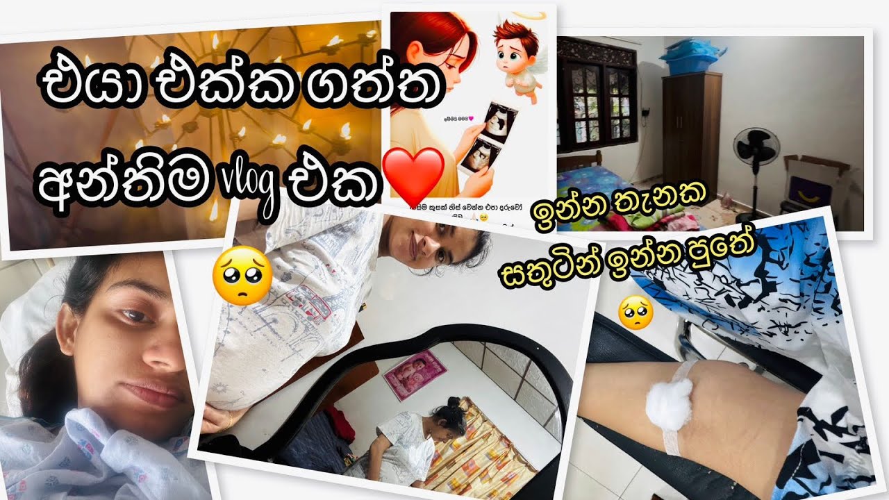 එයා මා එක්ක හිටපු අන්තිම vlog එක🥺❤️ඉන්න තැනක සතුටින් ඉන්න පුතේ...