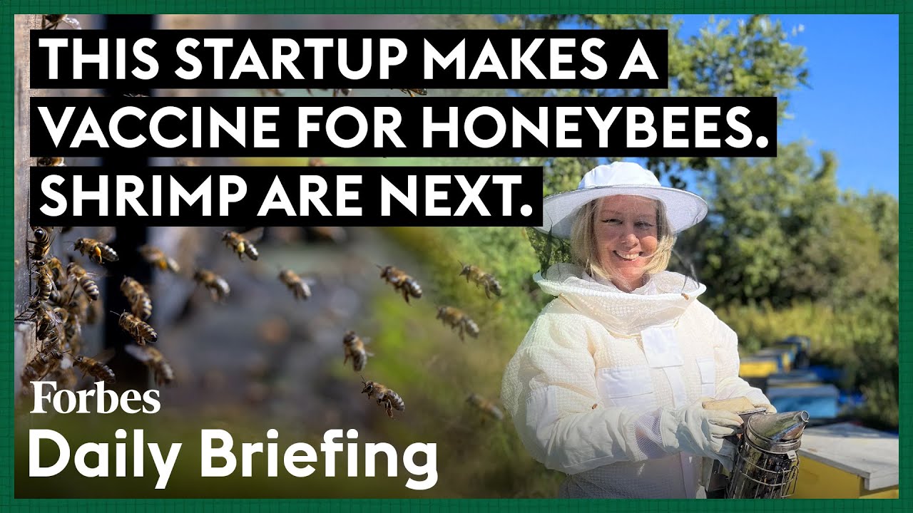 This Startup Makes A Vaccine For Honeybees. Shrimp Are Next.
