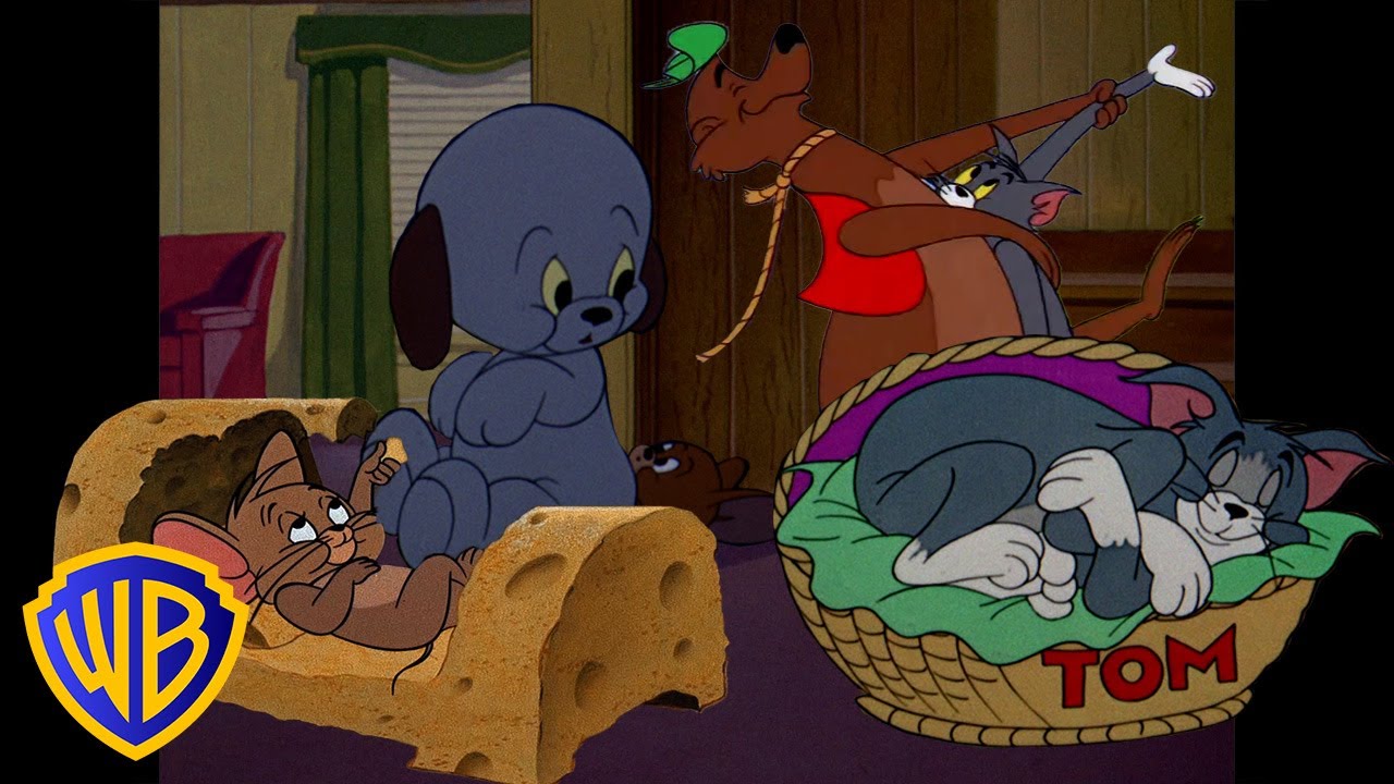 Tom i Jerry po polsku 🇵🇱 | Przytulne dni z Tomem i Jerrym 🍁 | @WBKidsInternational​