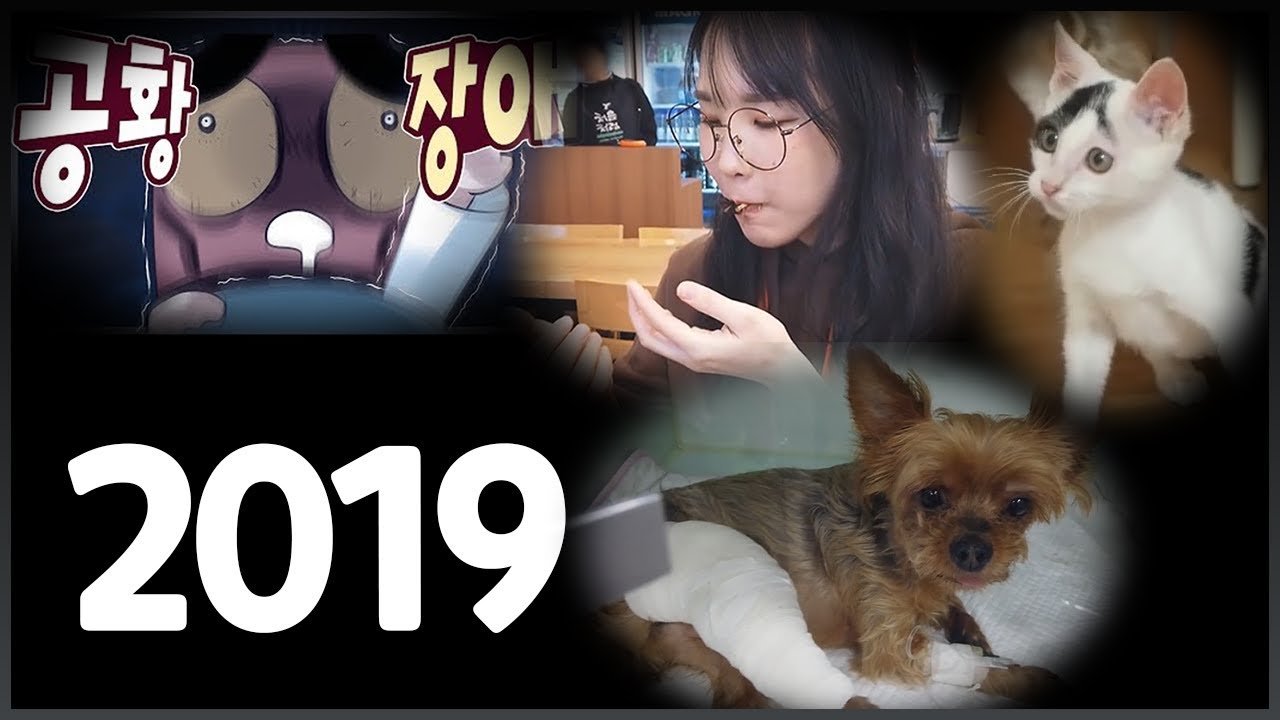 2019 - 홍방장