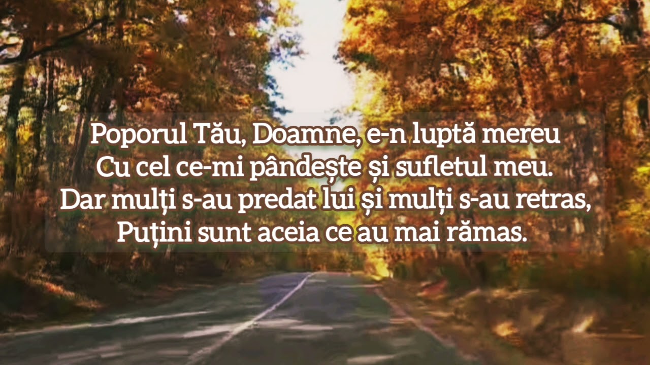 În lumea aceasta, eu sunt un străin | Ștefan Miculaiciuc