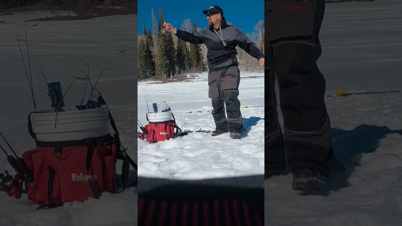 February 2026 Splake fishing, RECORD ice fishing