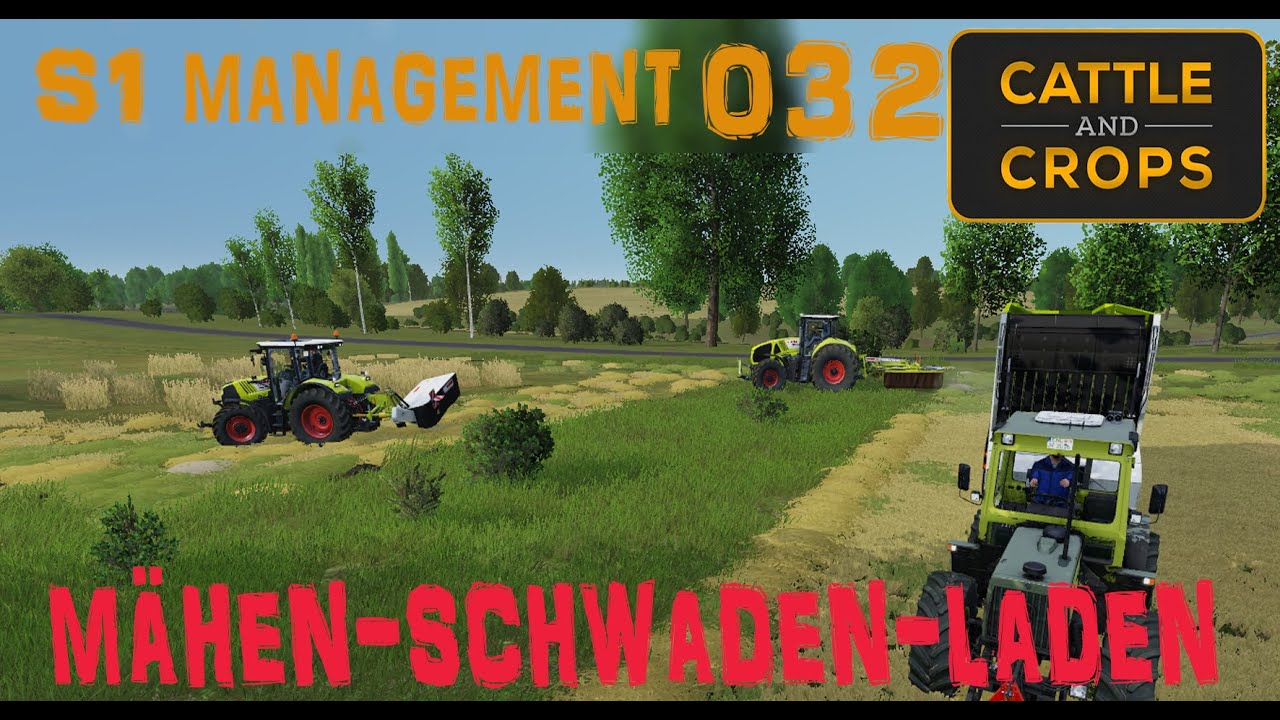 Mit Helfer: M&auml;hen, Schwaden und Futtergras laden Zeitgleich! - Management - Cattle and Crops - #032
