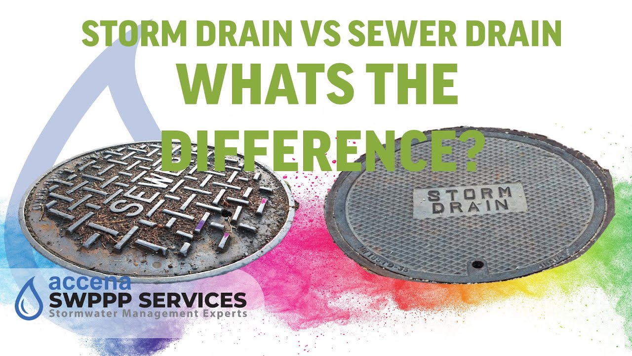 STORM Drain VS SEWER Drain