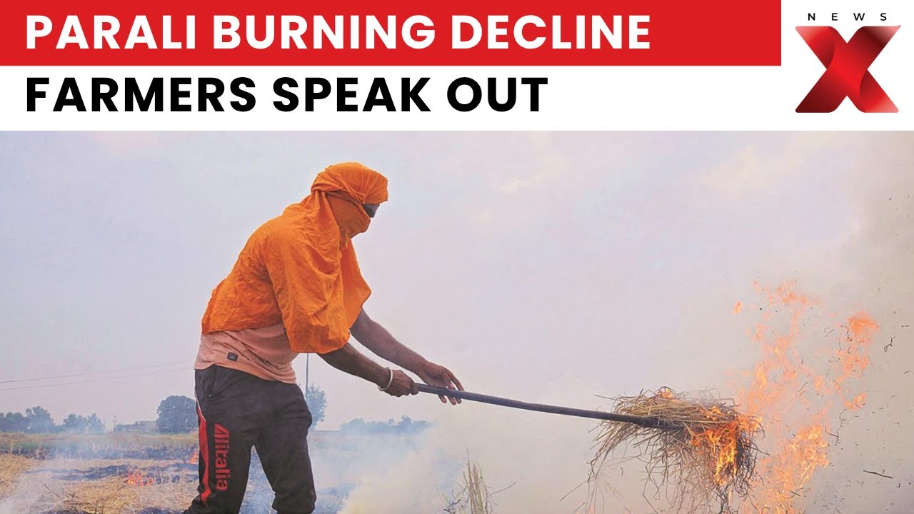 Amritsar Parali Burning Decline: Farmers Share Challenges and Solutions | NewsX