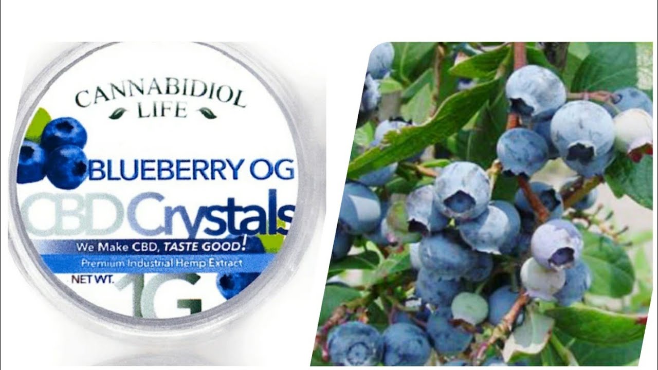 blueberry kush shatter CBD crystals review