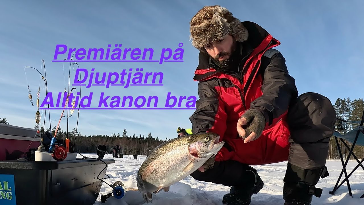Rainbow trout ice fishing in Sweden /Järbo / Djuptjärn 