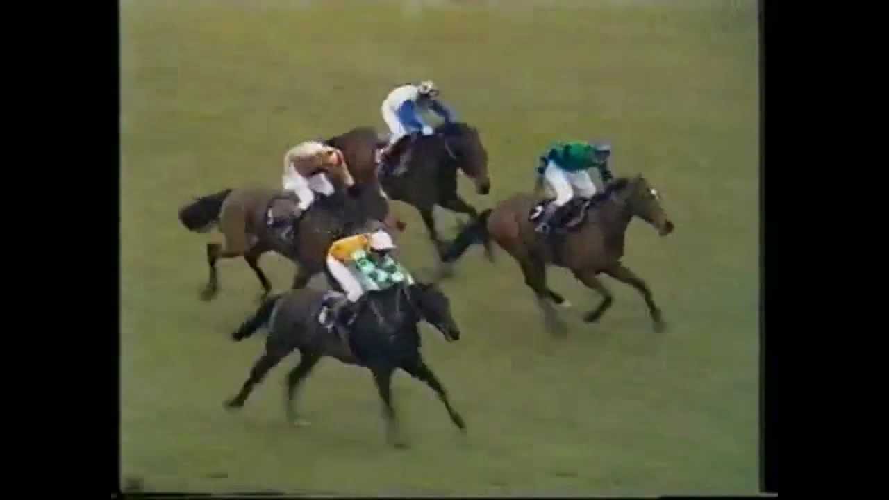 Comedy Of Errors- The 1973 Champion Hurdle (Cheltenham)