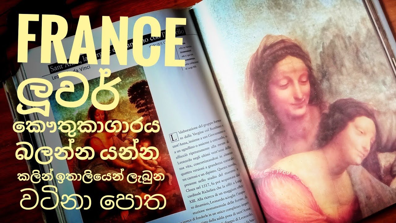 ලූවර් කෞතුකාගාරය පිලිබදව පොතක් -  Art history book (louver museum paintings)