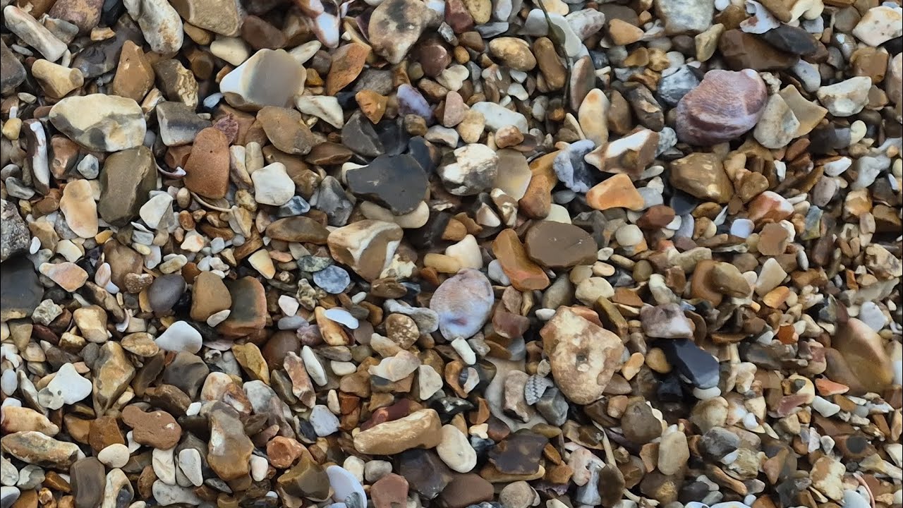 A day at Eastney Beach #eastneybeach #portsmouth #southsea