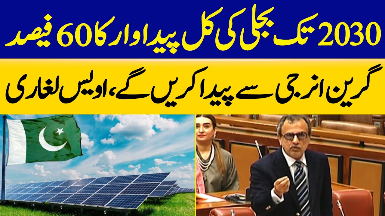 By 2030, 60% of Total Electricity Will Come from Green Energy, Awais Leghari | Dawn News