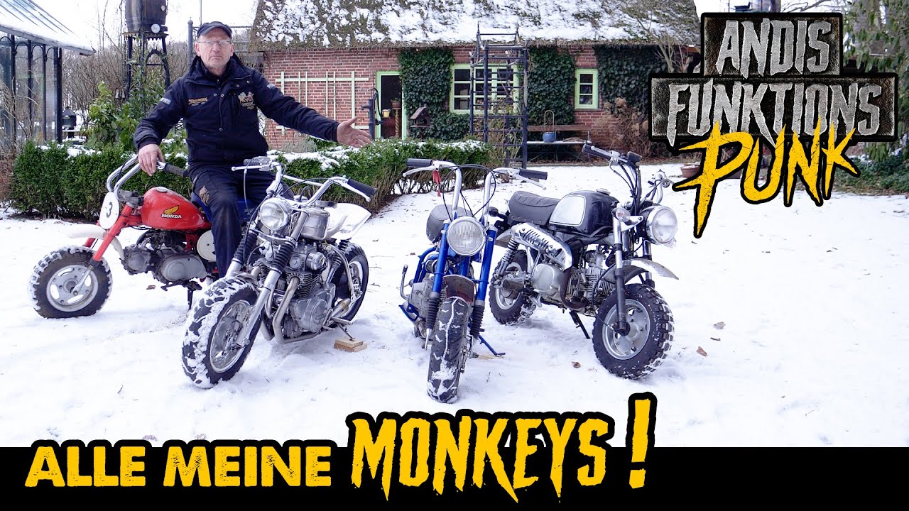 Die Affen sind los! | Honda Monkey 90ccm | Andi Feldmann