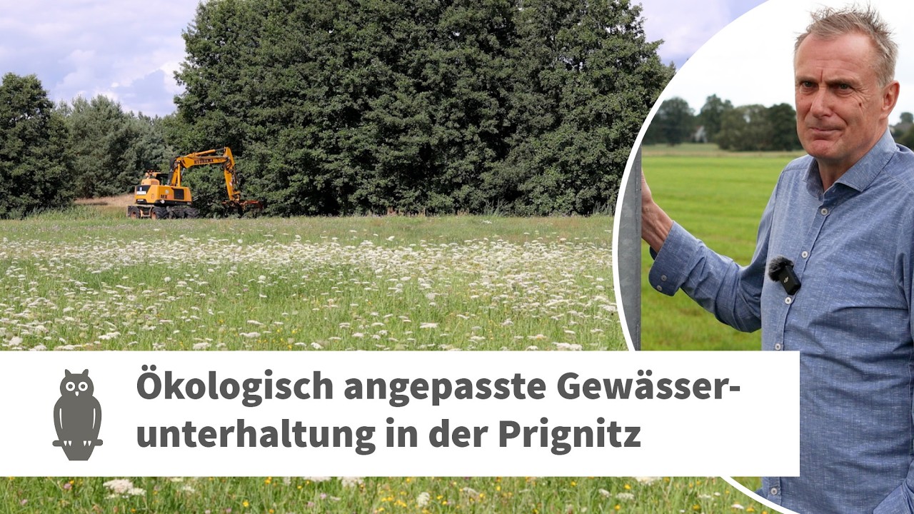 Gewässerunterhaltung mit dem Wasser- und Bodenverband 