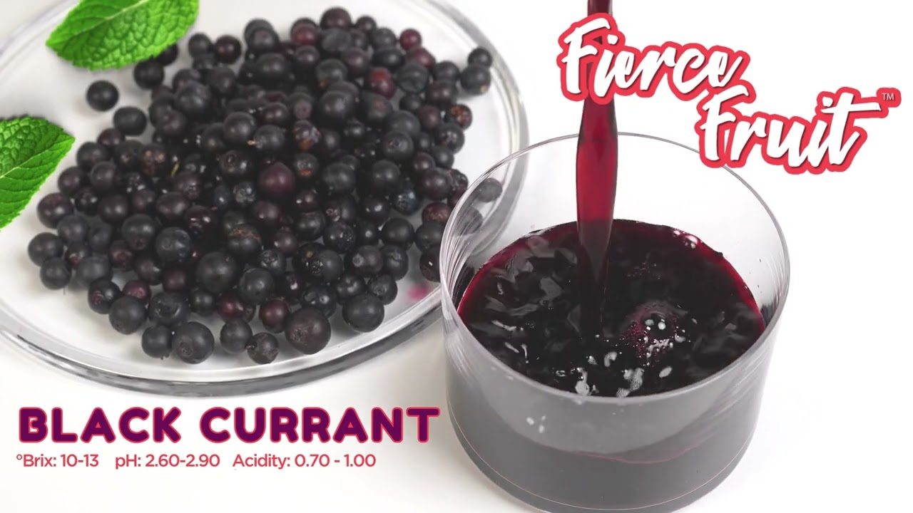 Black Currant Product Video - Fierce Fruit