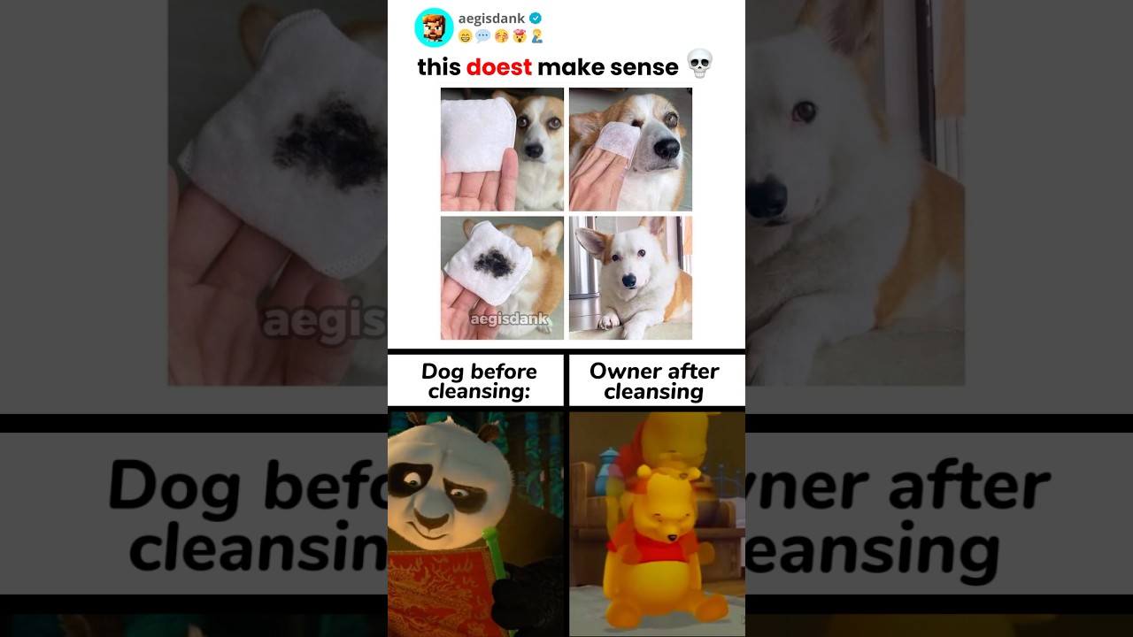 funny game memes