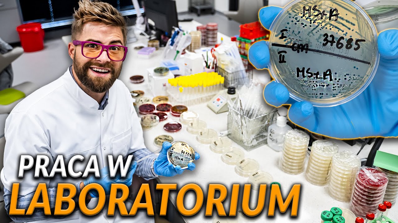 PRACA W LABORATORIUM - jak wygląda badanie krwi? Ile zarabia diagnosta? | DO ROBOTY