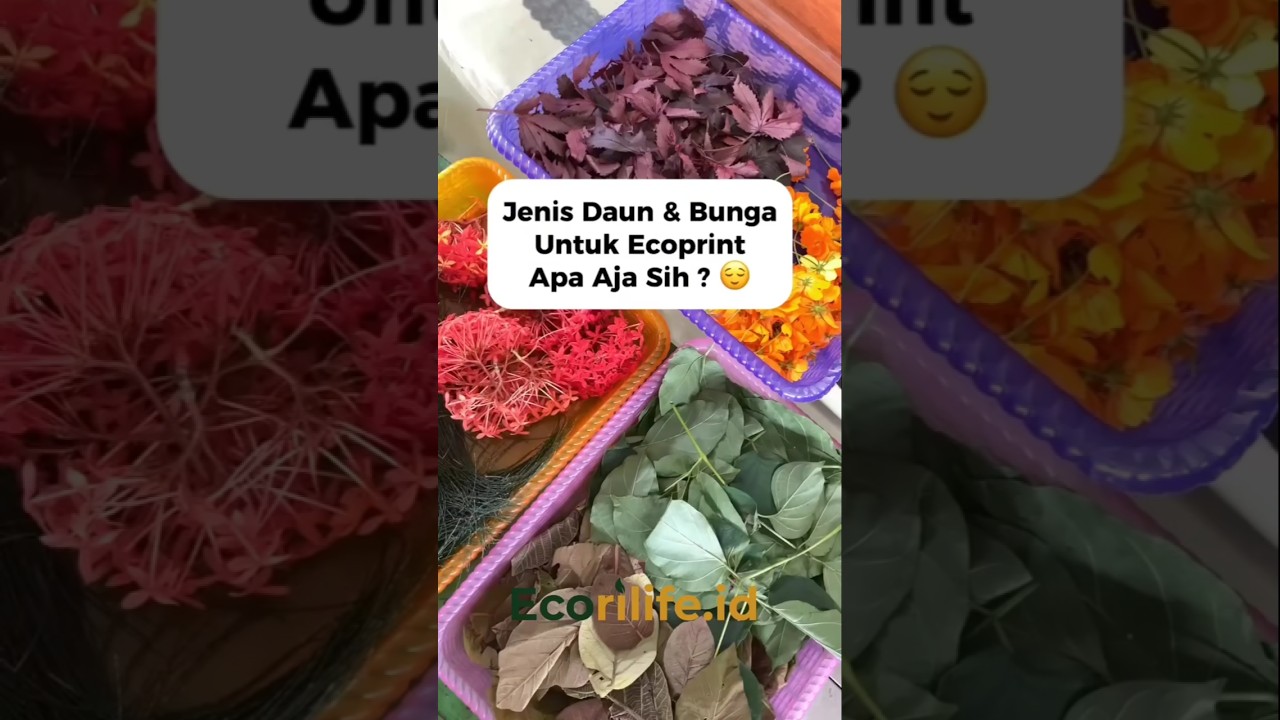 DAUN DAN BUNGA YANG DIGUNAKAN UNTUK ECOPRINT #ecoprint #ecofriendlyclothing #ecoprintindonesia