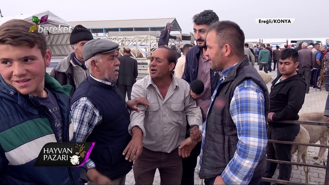 @BereketTV  Hayvan Pazarı - Konya/ Ereğli - 23.05.2019