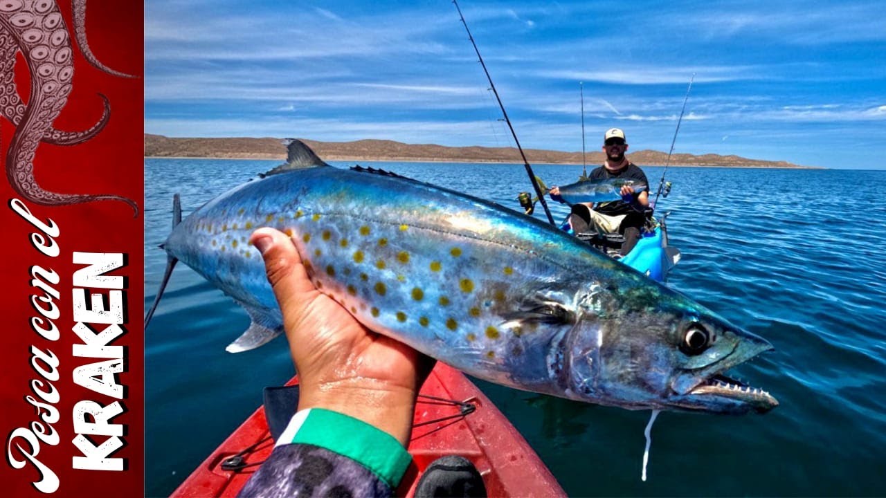 MI PRIMERA PESCA EN KAYAK | Pez Fuerte, Jurel, bonita y Sierra |