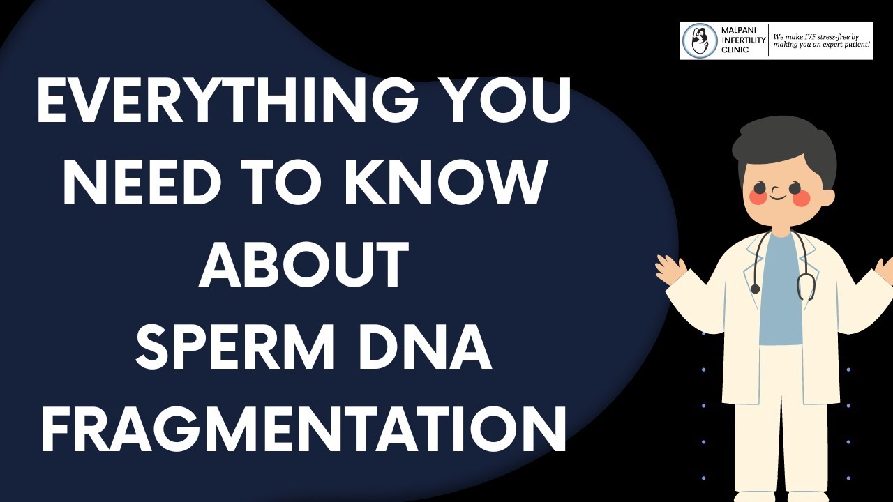 Unlocking Sperm's DNA Mystery: Your Complete Guide to Understanding DNA Fragmentation 🧬🔓