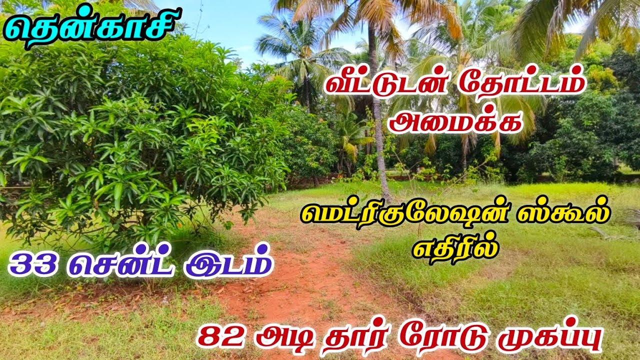 #தென்காசி குறைந்த விலையில் 82 அடி தார் ரோடு முகப்பு 33 சென்ட் இடம் வீட்டுடன் தோட்டம் அமைக்க #tenkasi