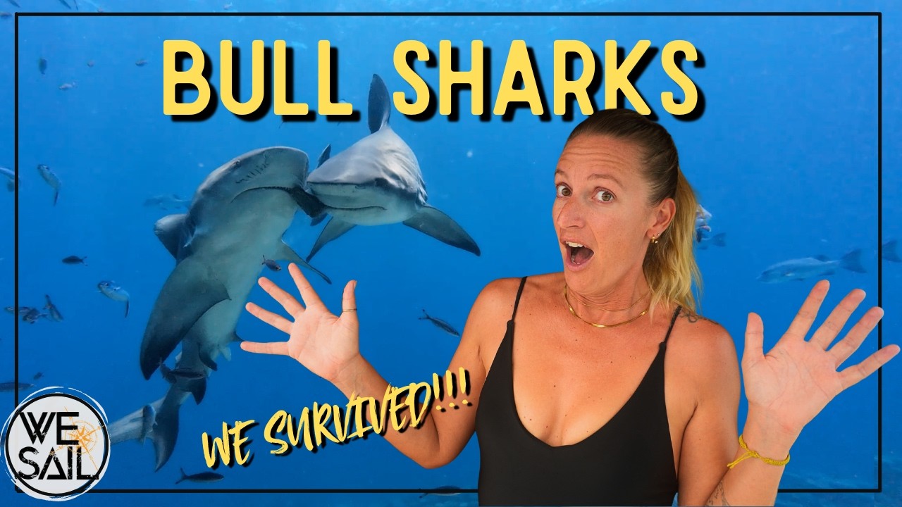 We Dove with BULL SHARKS in Fiji... Here's What Happened