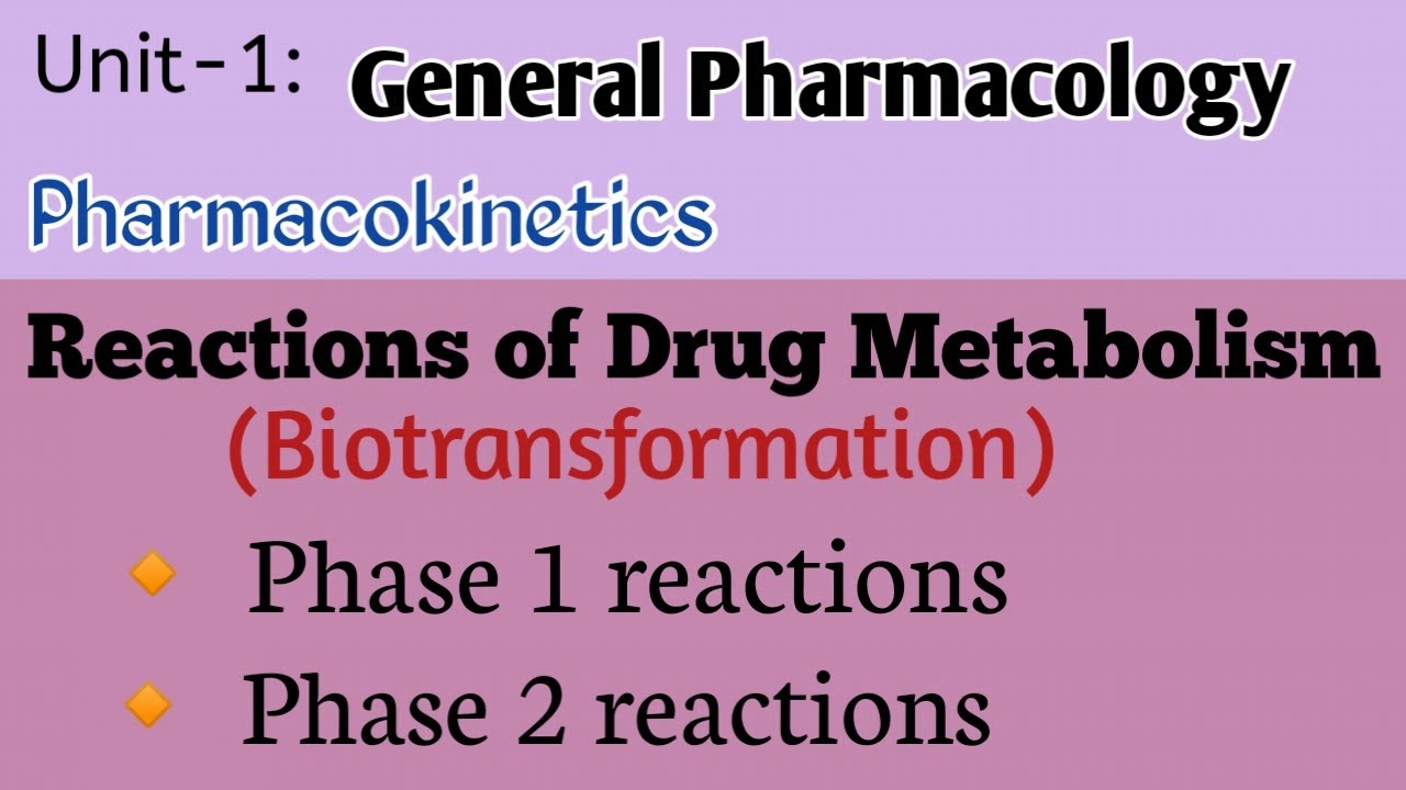 Reactions of Drug Metabolism/ biotransformation/ phase 1 & phase 2 reactions