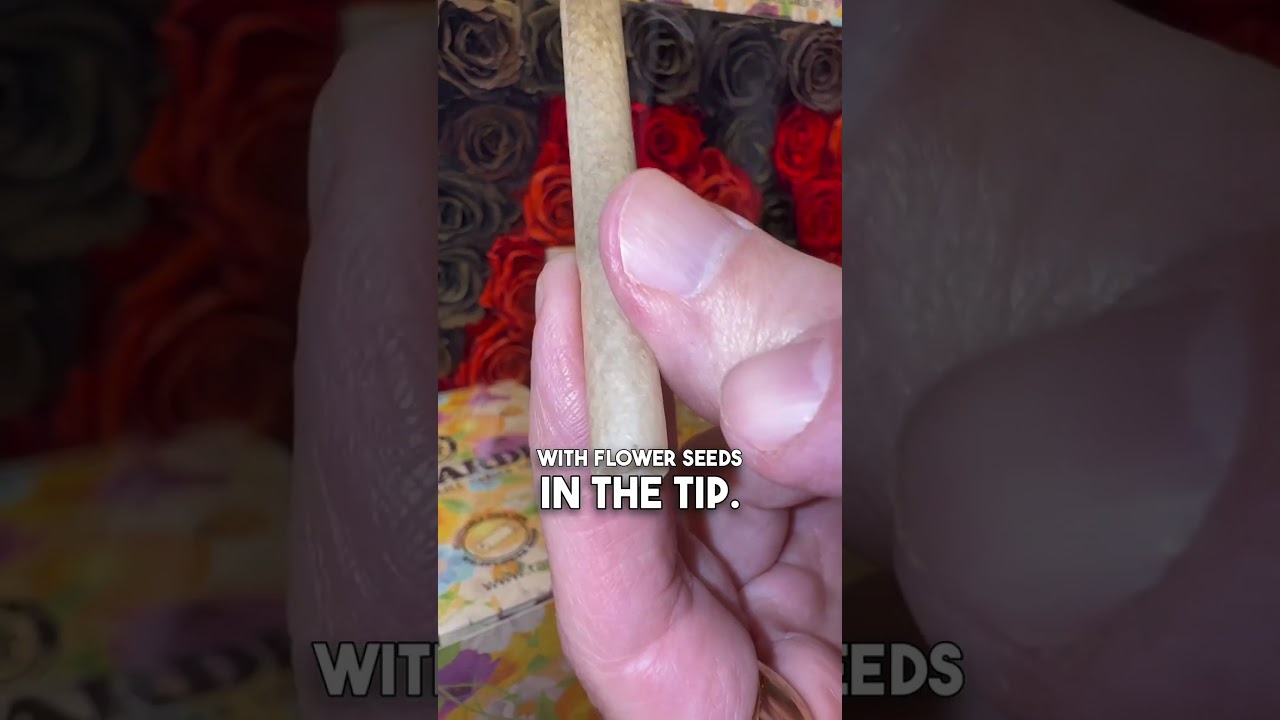 Can YOUR cone grow flowers?